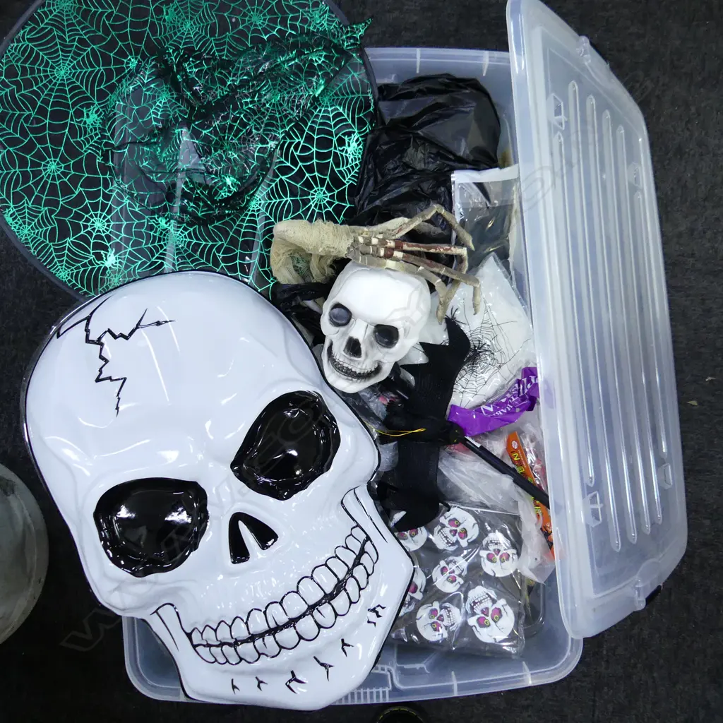 BOX LOT HALLOWEEN DECORATIONS Image 1++