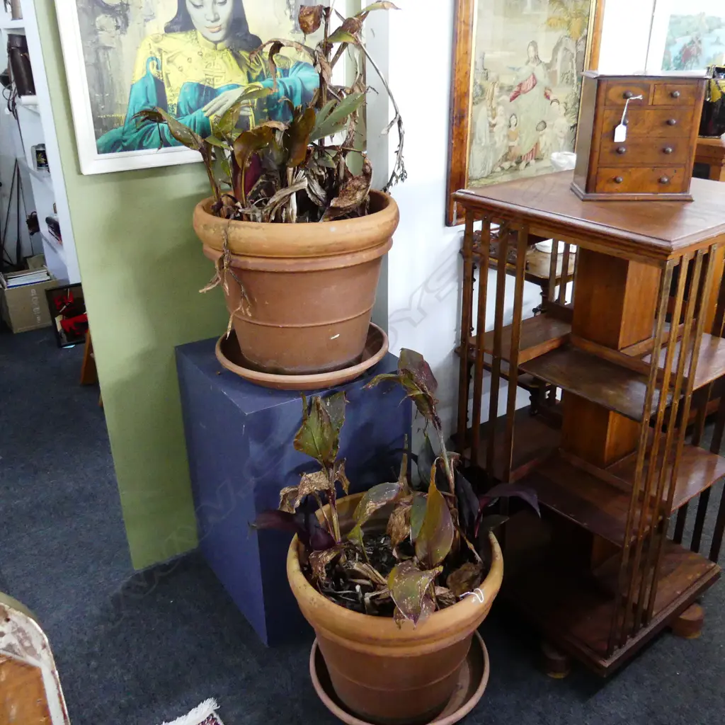 PR TERRACOTTA PLANTERS H.450mm / 500mm dia Image 1++