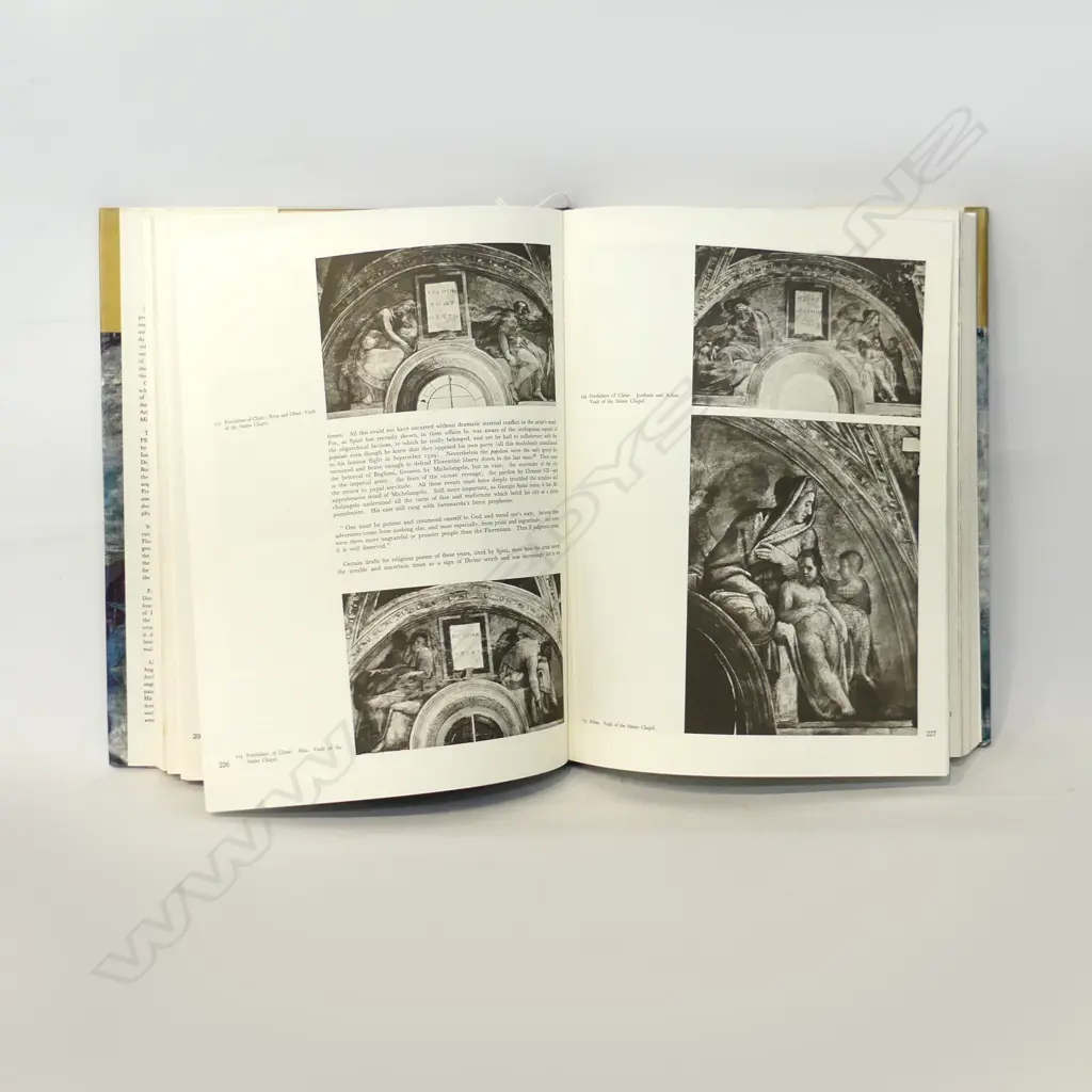 THE COMPLETE WORKS OF MICHELANGELO COFFEE TABLE BOOK Image 1++