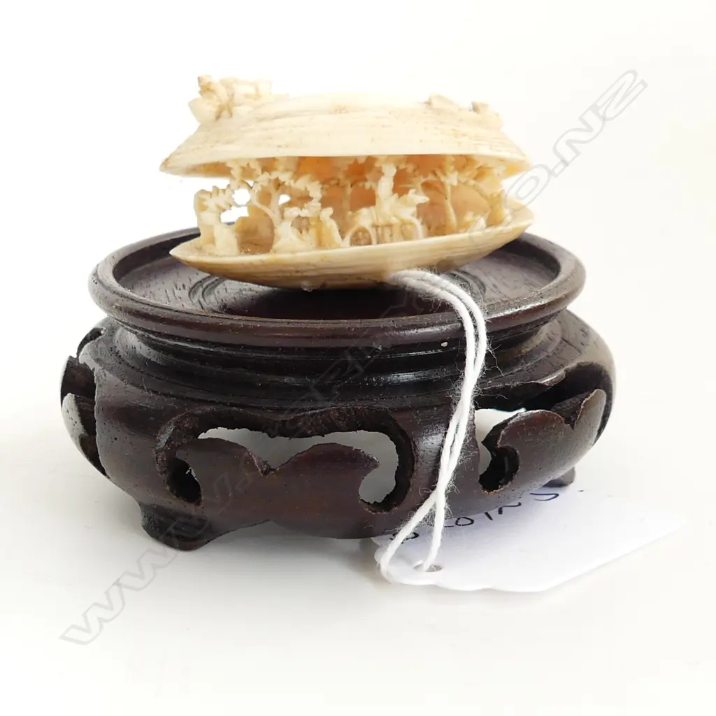 CARVED IVORY DREAM SHELL landscape interior L.45mm Image 1++