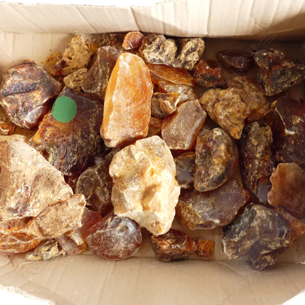 BOX OF KAURI GUM NUGGETS, APPROX 1250gms Image 1++