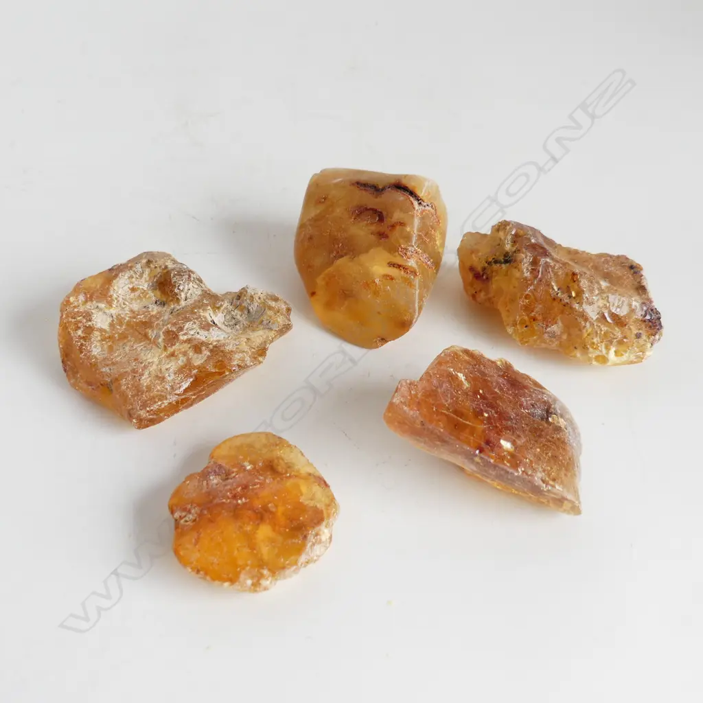 5 PIECES OF KAURI GUM, 184gms Image 1++