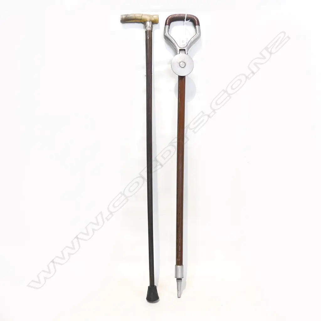 SHOOTING STICK + WALKING STICK w. STG? BAND H.800mm Image 1++