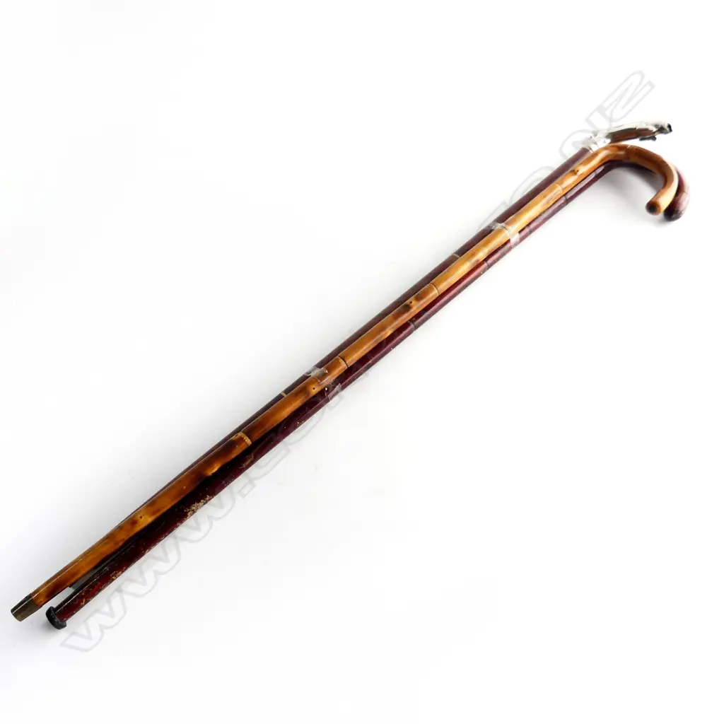 THREE WALKING STICK: 2 BAMBOO + 1 ROSEWOOD WITH LEAPING JAGUAR HANDLE Image 1++