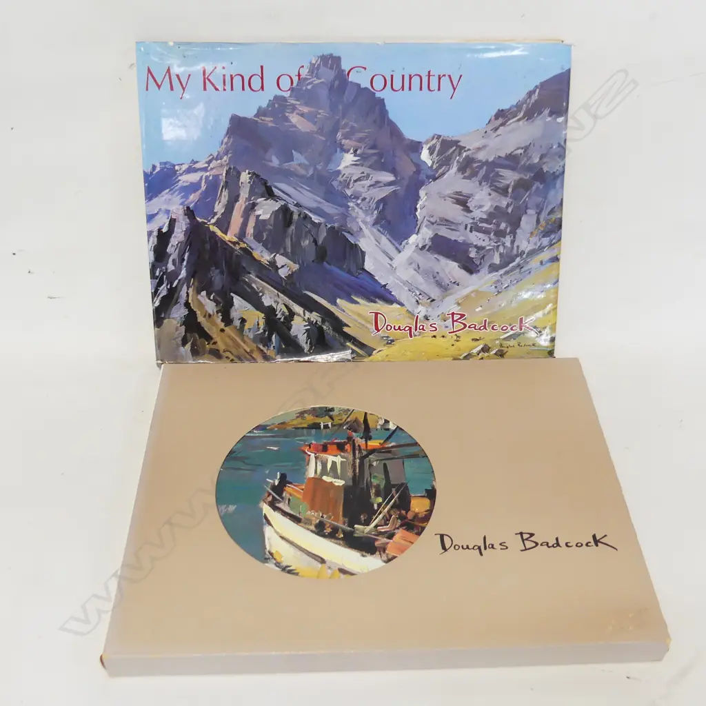 2 DOUGLAS BADCOCK BOOKS; 'MY KIND OF PAINTING' & 'MY KIND OF COUNTRY' Image 1++