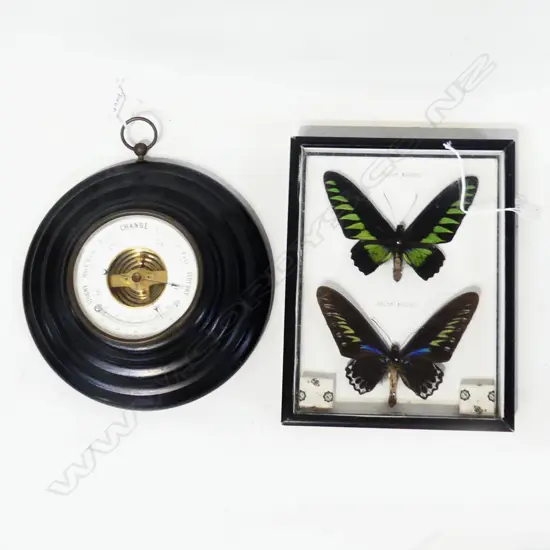 VINTAGE WALL BAROMETER 210mm dia + FRAMED BUTTERFLY SPECIMEN 230x180mm