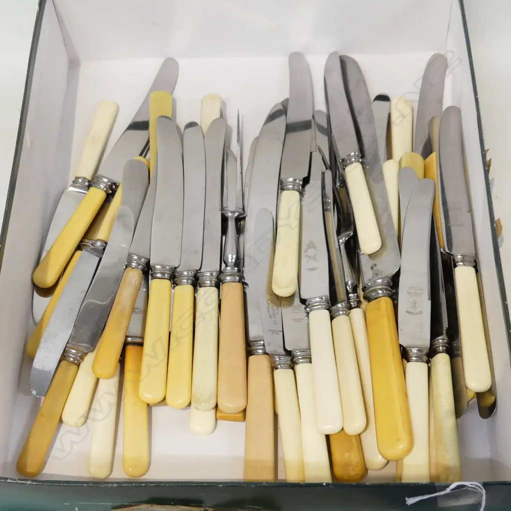 BOX LOT ASST VINTAGE BONE & CELLULOID HANDLE KNIVES  Image 1++
