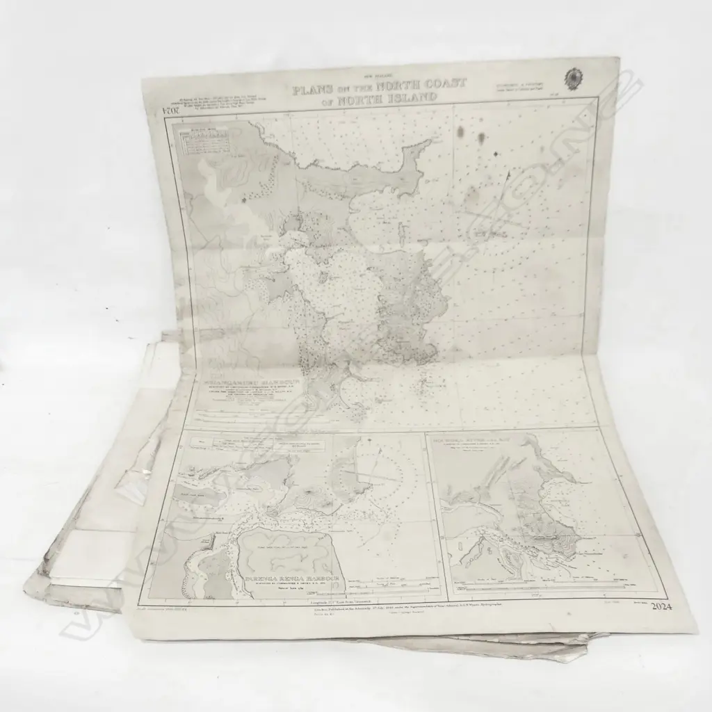 ASST. LARGE 1940-50s VINTAGE NZ MAPS (9 LG, 1 SM), LARGEST 1030 x 690mm Image 1++