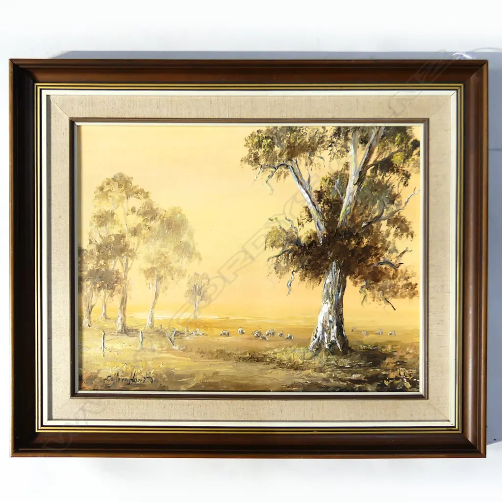 COLLEEN HAMILTON 'EVENING LIGHT NEAR BODALLA NSW' 340x440mm Image 1++