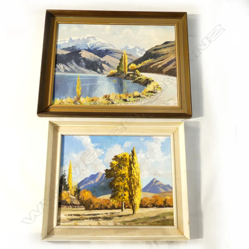 2 R. P. HULL OILS; 'AUTUMN NEAR QUEENSTOWN' 390x490mm, 'NEAR MAKARORA HAAST RD' 430x590mm Image 1++