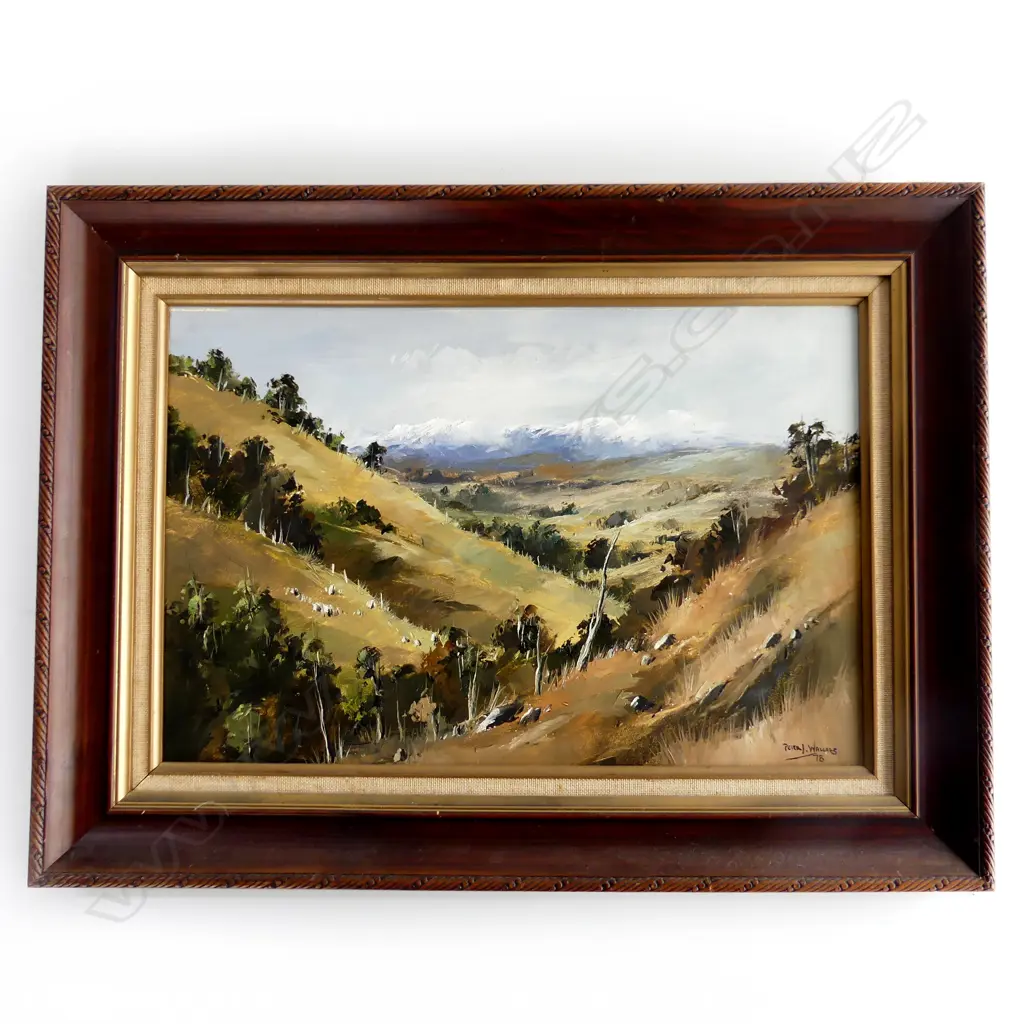 PETER J. WALLERS, FROM THE MANGAWEKA GORGE, TAIHAPE, OIL ON BOARD, SIGNED, 78, 440 X 295mm Image 1++