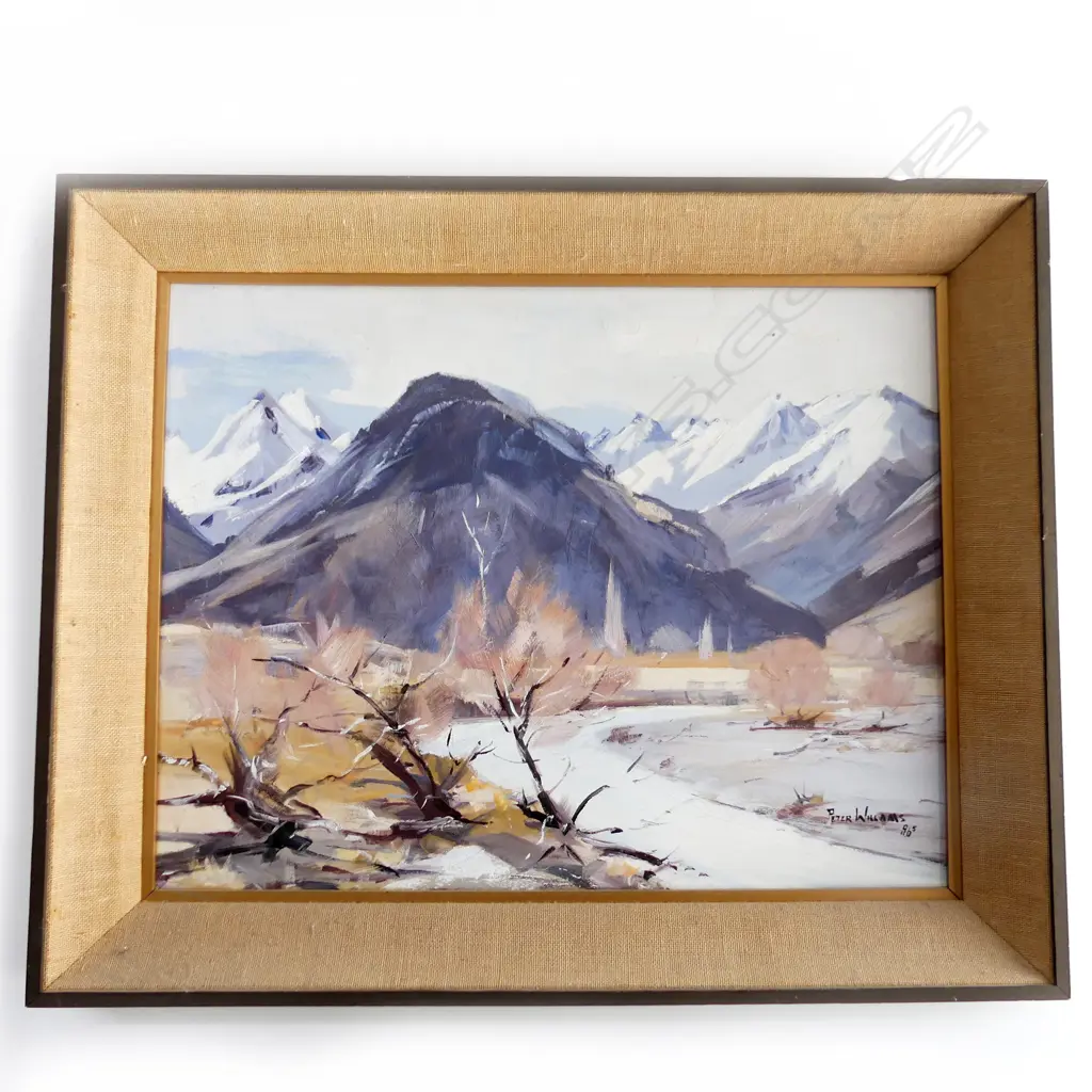 PETER WILLAMS, SCENIC OIL ON BOARD, SIGNED, 96. 440 X 340mm Image 1++