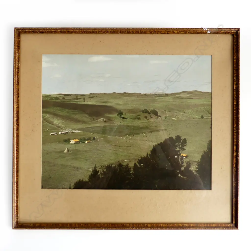 VINTAGE HAND COLOURED PHOTOGRAPH OF A FARMING SCENE POSSIBLY WHITES AVIATION , 355 X 275mm Image 1++