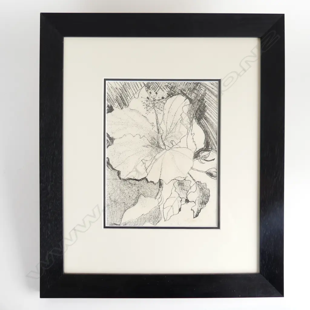 **RTV** GARTH TAPPER (NZ 1927-99) 'HIBISCUS' INK ON PAPER 1981 250x190mm Image 1++