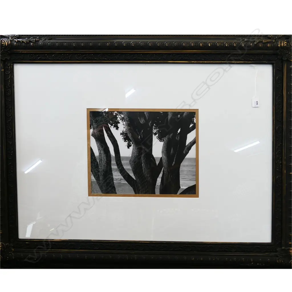LG FRAMED PRINT; B/W IMAGE 275x370mm / 795x1095mm overall Image 1++