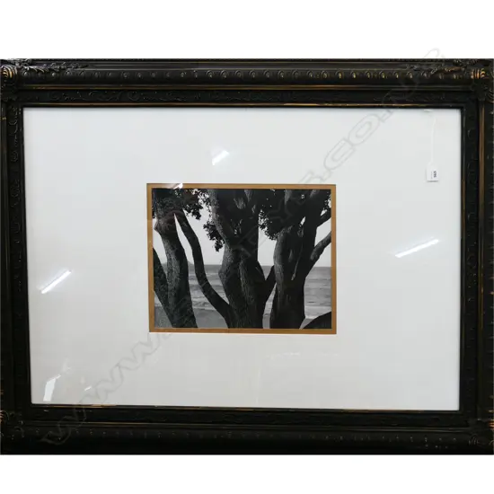 LG FRAMED PRINT; B/W IMAGE 275x370mm / 795x1095mm overall