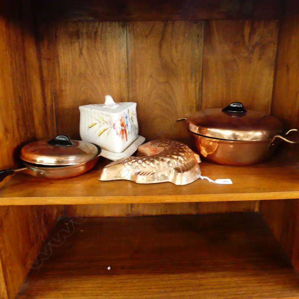 2 LIDDED COPPER PANS 260mm dia, FISH MOULD, CHEESE DOME Image 1++