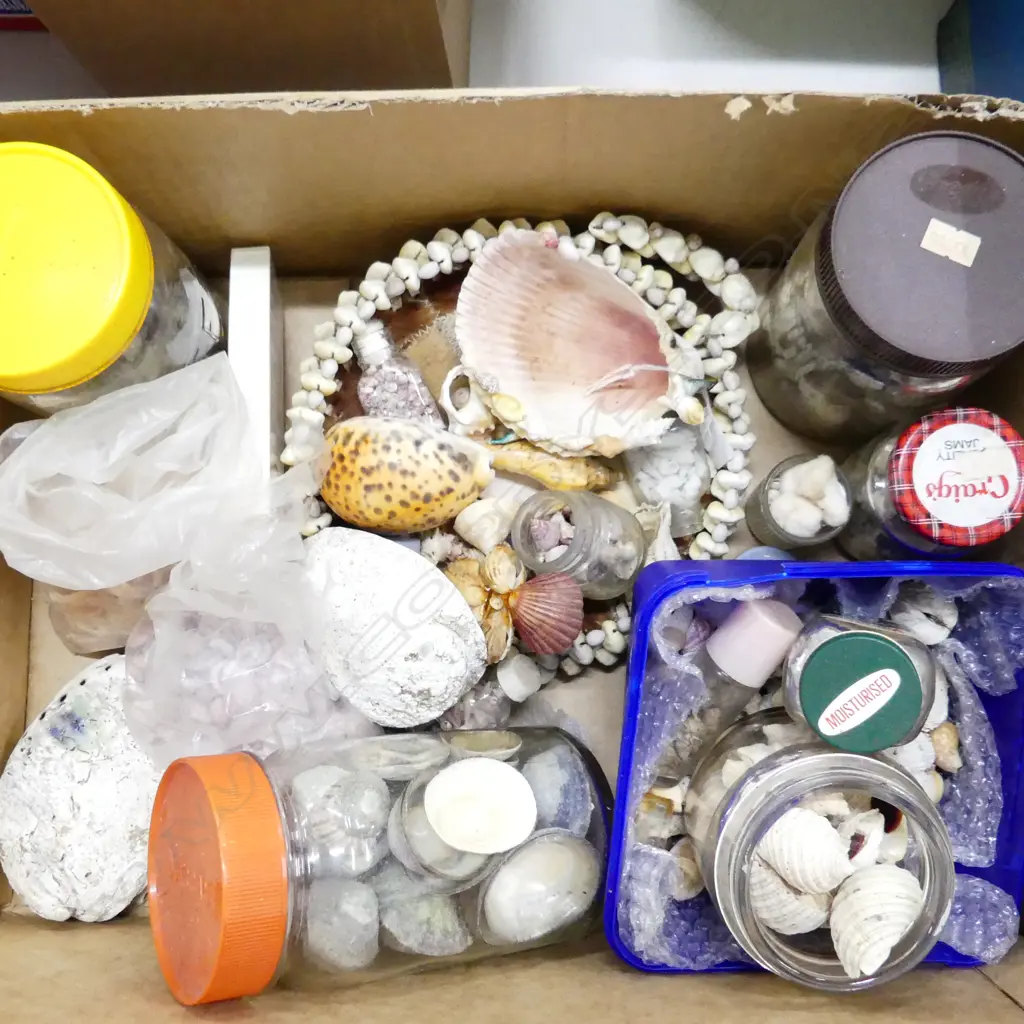 BOX ASST SHELLS & SHELL ORNAMENTS. INCL. JARS OF SHELLS ETC.. Image 1++