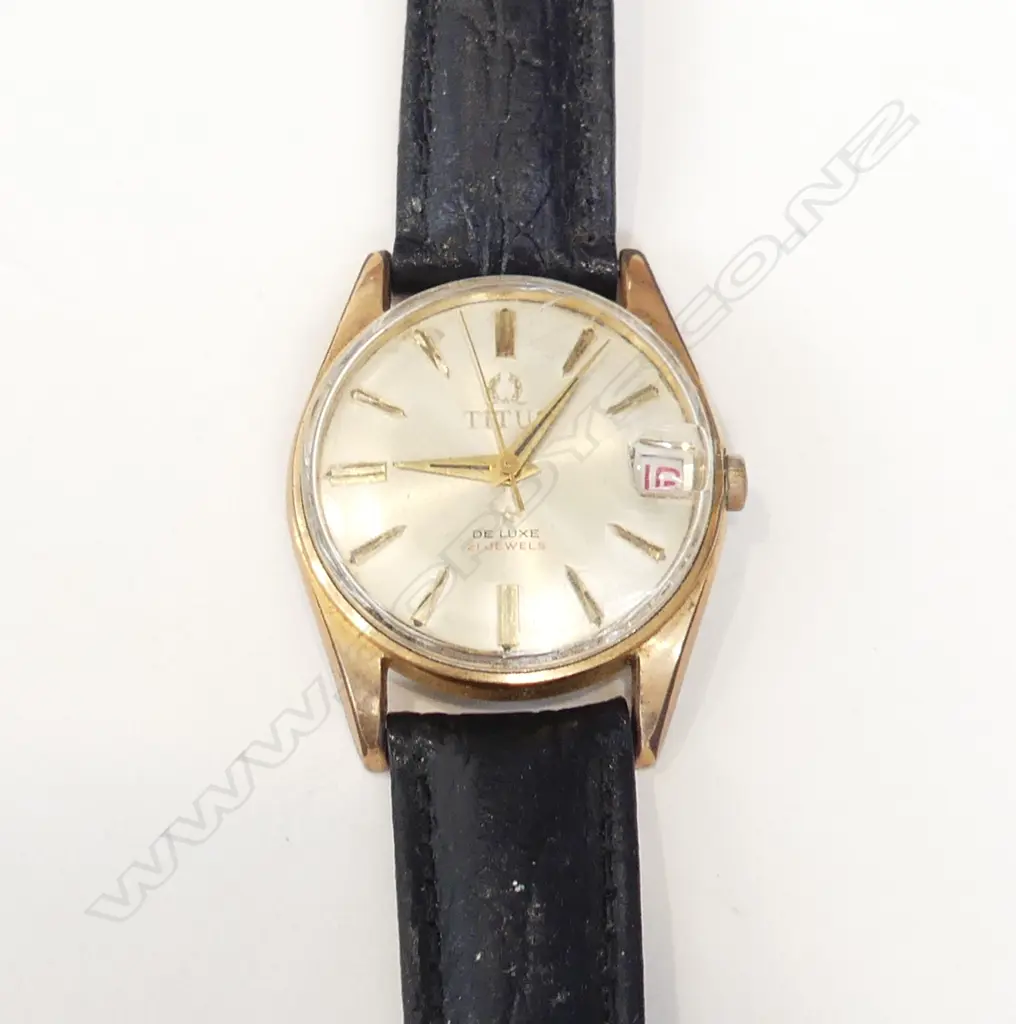 TITUS MENS WATCH, WORKING Image 1++