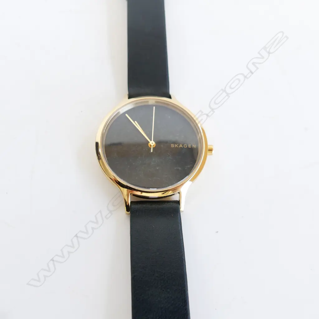 LADIES SKAGEN QUARTZ WATCH, BLACK LEATHER STRAP, NEW & WORKING Image 1++