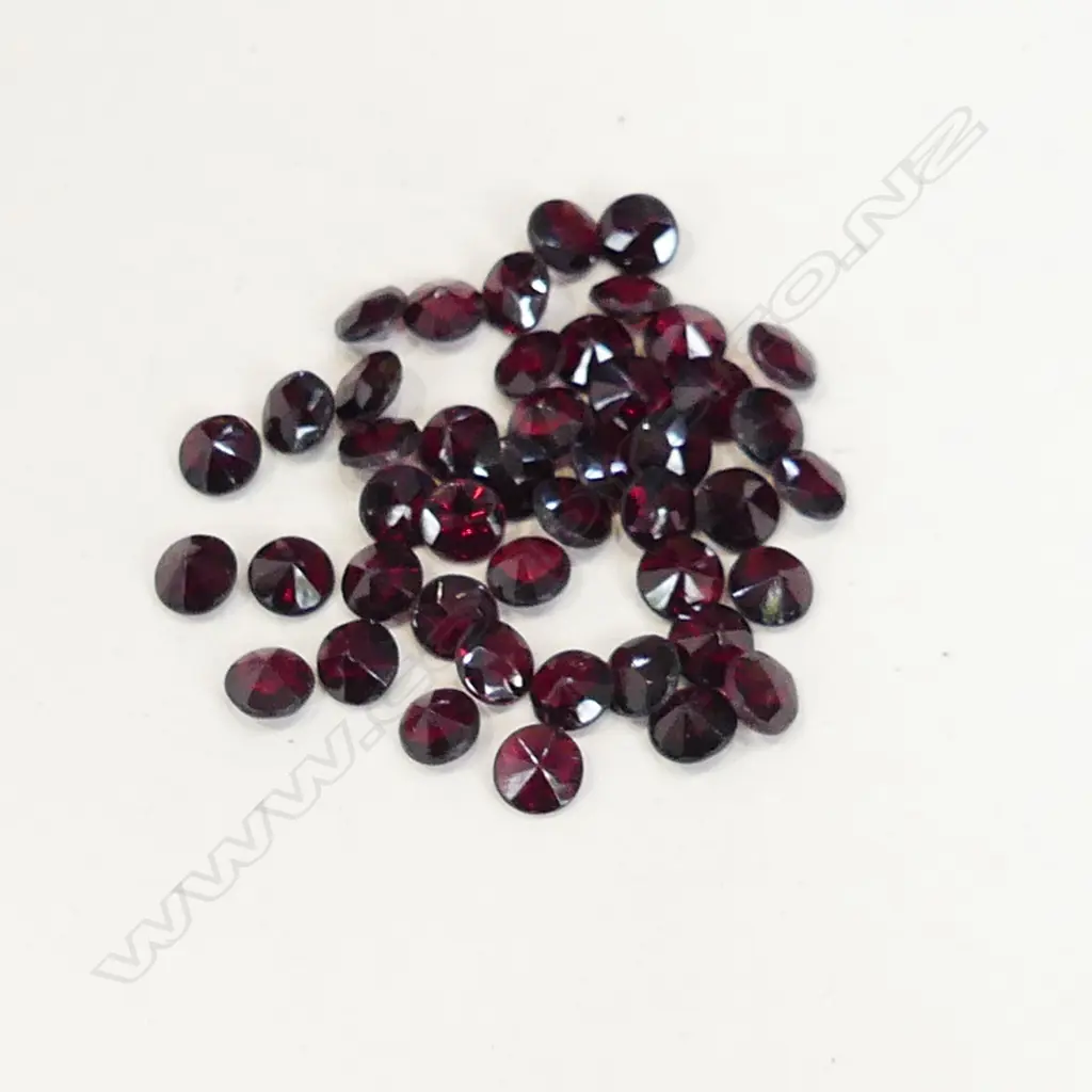 BAG GARNETS  Image 1++