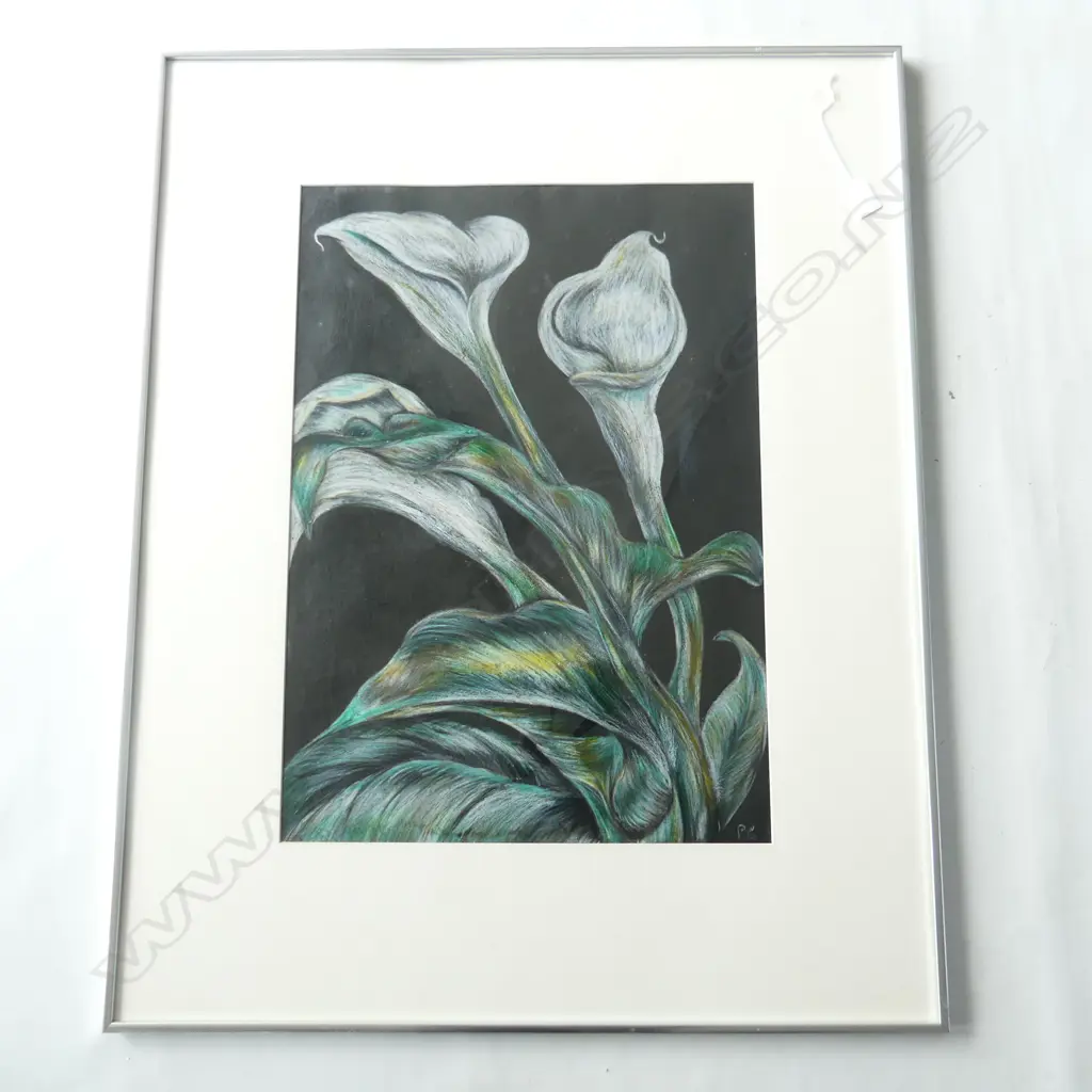 CALLA LILIES, PASTEL, SIGNED PC, 590 X 410mm Image 1++