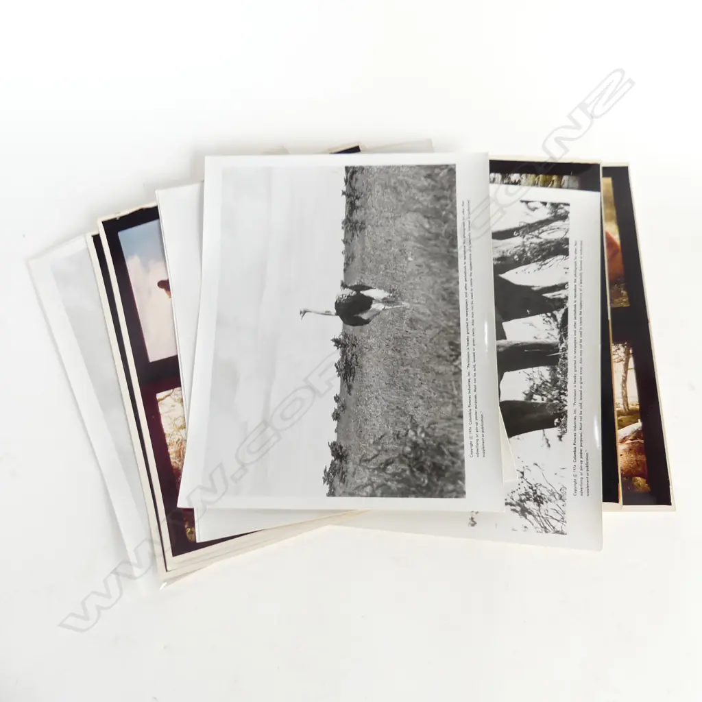 COLUMBEA PICTURES SET OF PHOTOS FROM BORN FREE Image 1++
