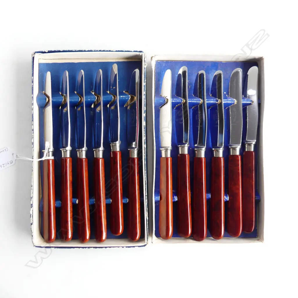 SET OF 12 VINTAGE FRENCH KNIVES BY AKE PARIS IN 2 BOXES UNUSED L. 210mm Image 1++