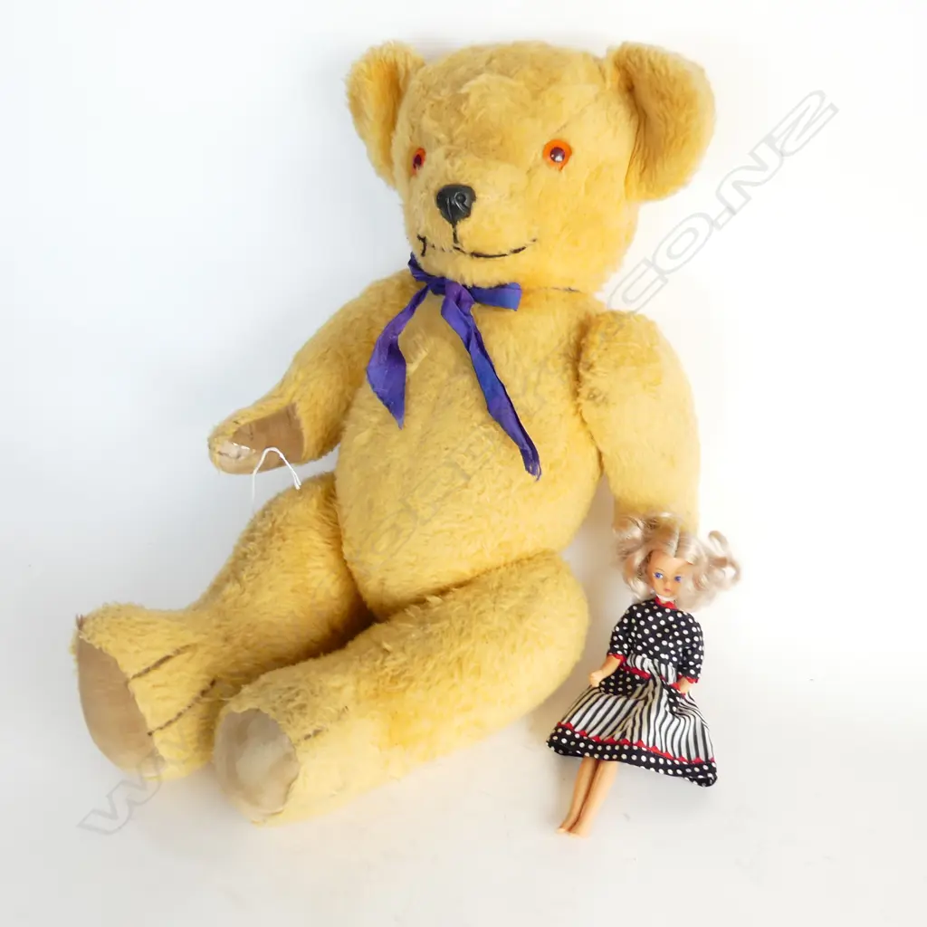 PEDIGREE TEDDY BEAR H.580mm + VINTAGE DAISY FOR MARY QUANT DOLL H.240mm Image 1++