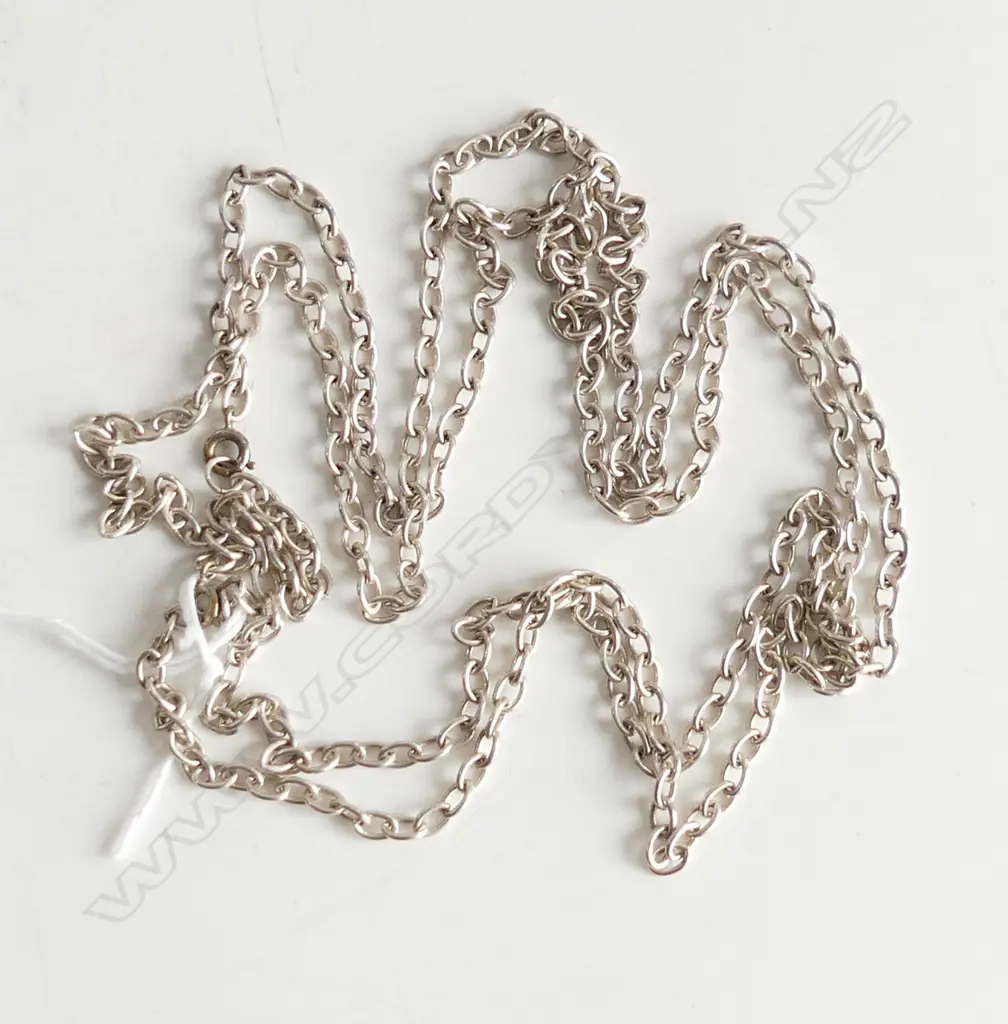 PR SILVER NECK CHAINS L.600mmEA Image 1++