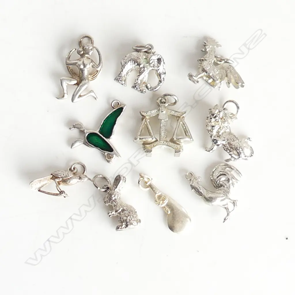 9 VARIOUS SILVER CHARMS NZ ETC Image 1++