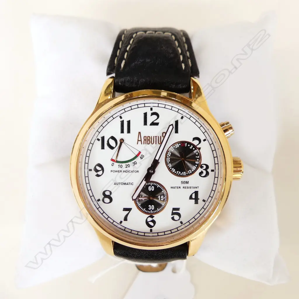 GENTS ARBUTUS AUTOMATIC WRIST WATCH Image 1++