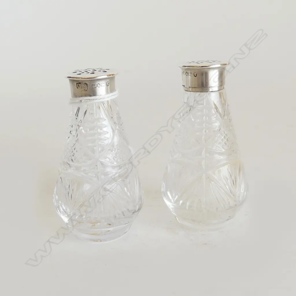 VICTORIAN STERLING SILVER & CUT CRYSTAL SALT & PEPPER BIRMINGHAM 1884 (LIDS ARE A GOOD SOLID FIT) H. 62MM Image 1++