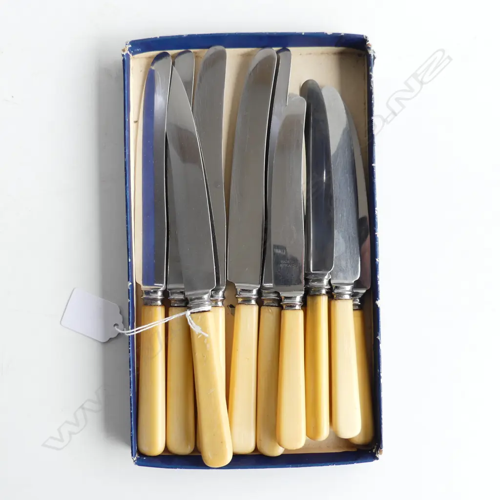 SET OF 12 BONE HANDLE KNIVES BY VINERS OF SHEFFIELD – 6 LARGE & 6 SMALL L. 235mm & L. 205mm Image 1++