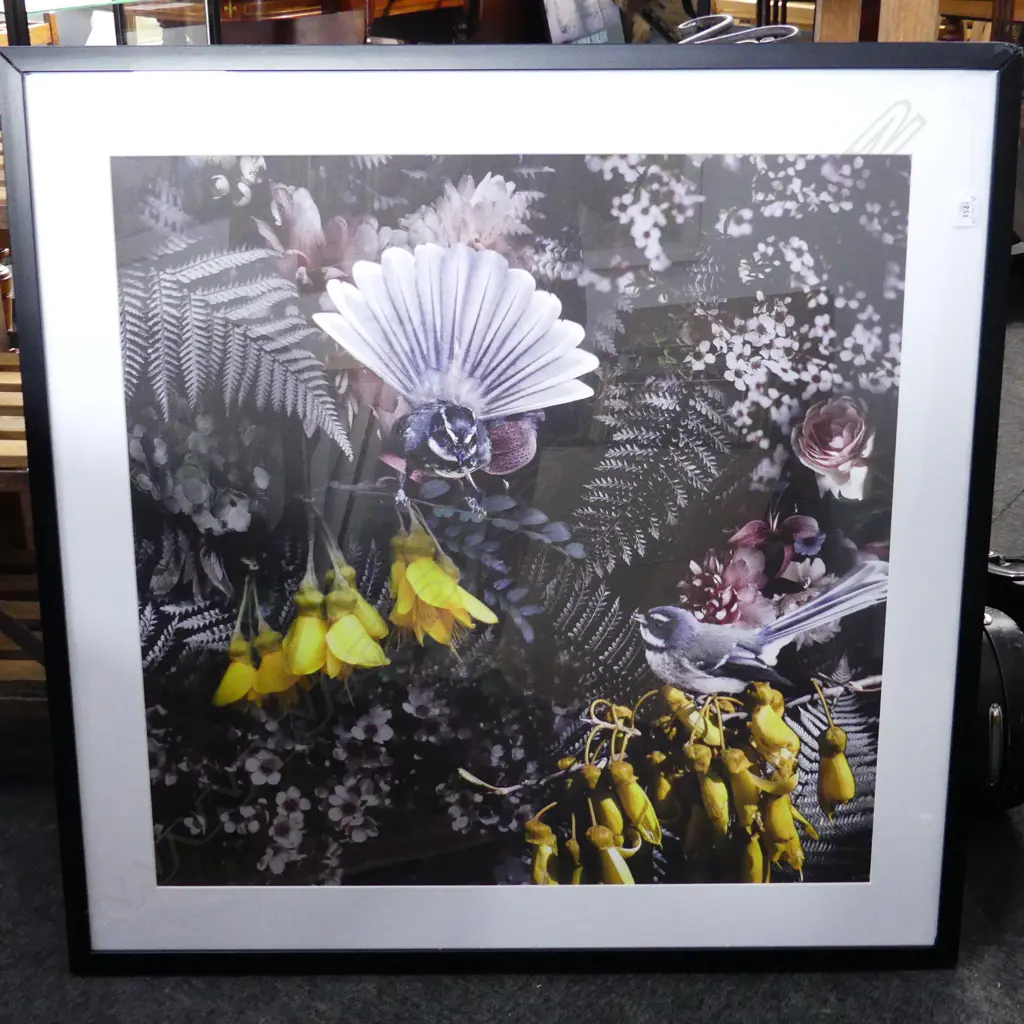 LG FANTAILS ART PRINT, FRAME DAMAGED, 800x800mm Image 1++