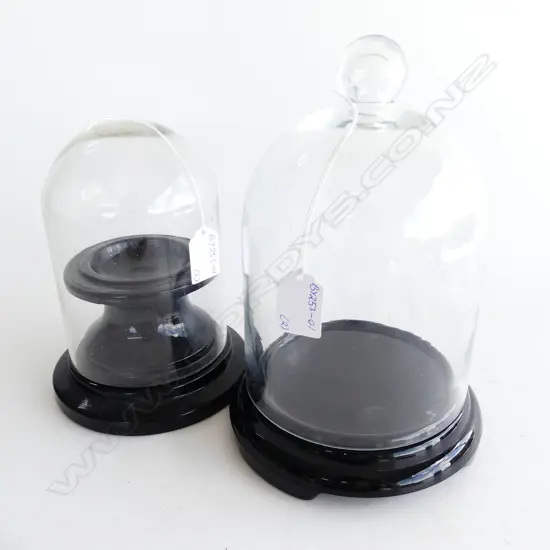 PR GLASS DOME SPECIMAN STANDS