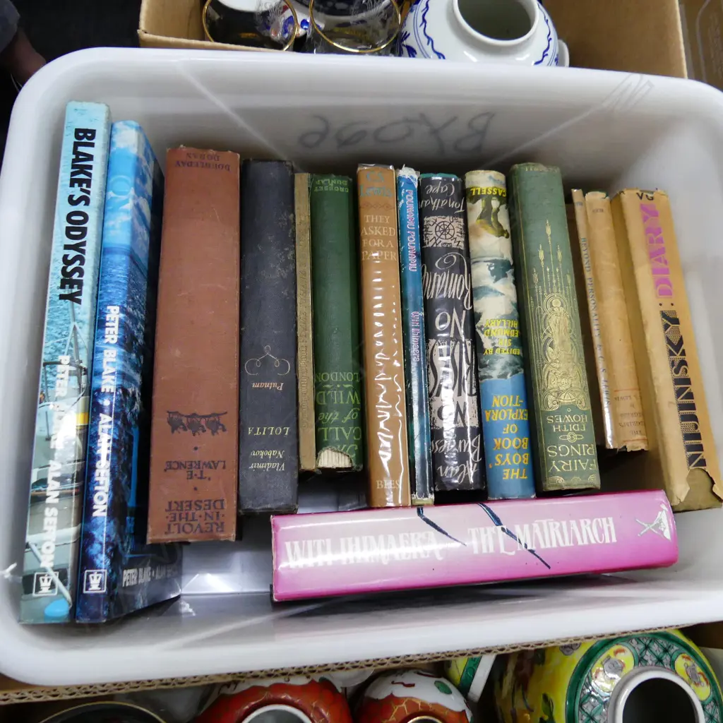 SELECTION OF 16 BOOKS INCLDS 2 VINTAGE COPIES OF 'LOLITA', NIJINSKY'S DIARY & CS LEWIS Image 1++
