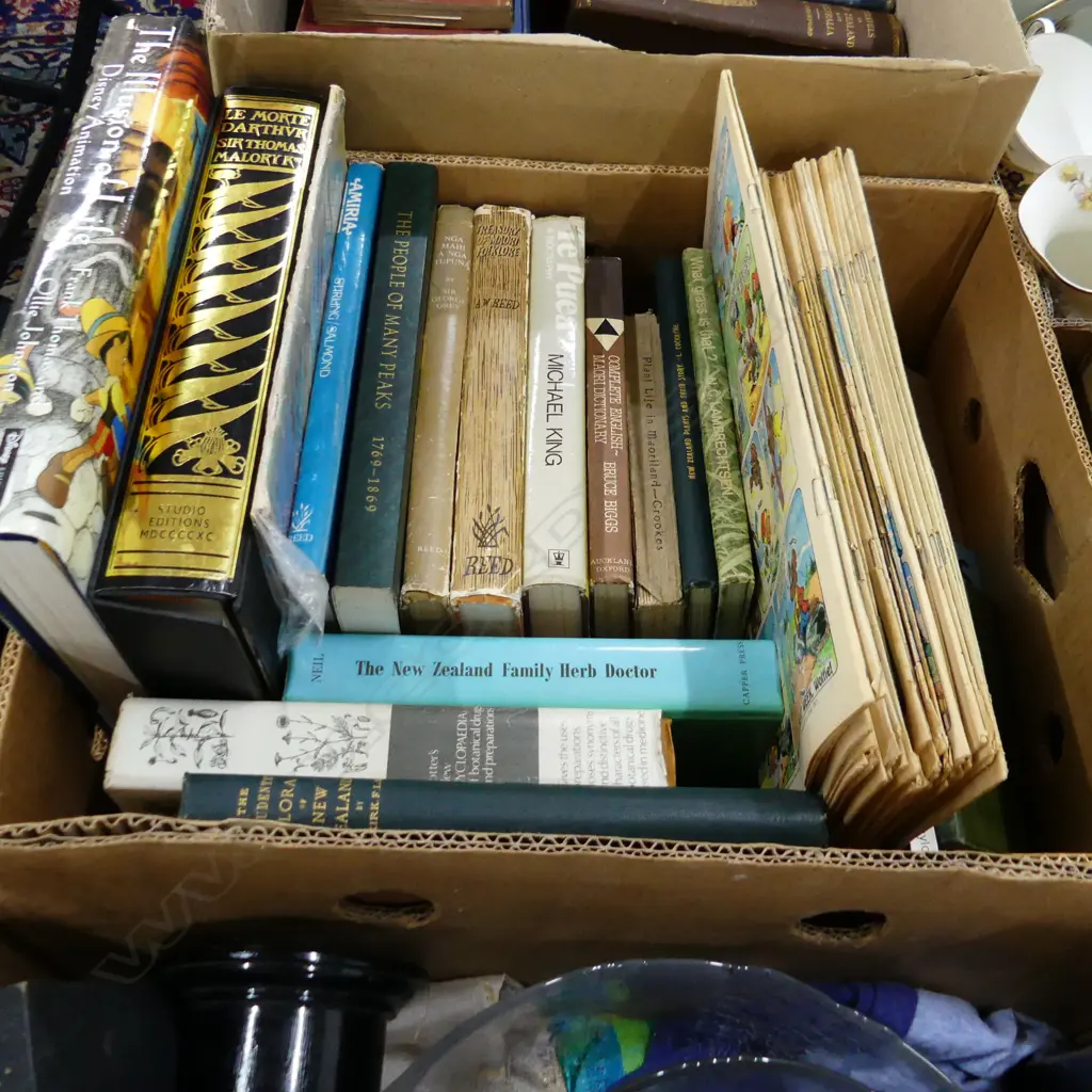 BOX LOT ASST. BOOKS; NZ PLANTS, MAORI ETC Image 1++