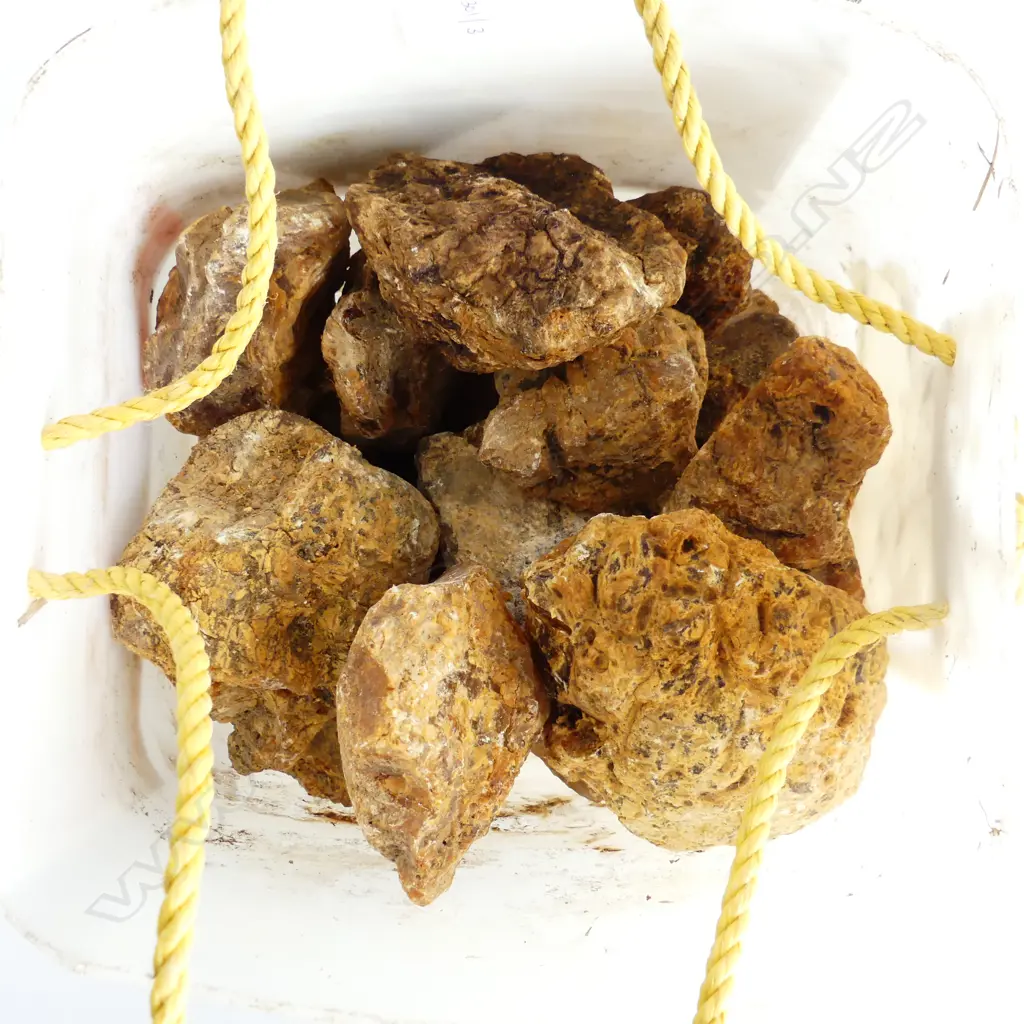 6.5KG BUCKET OF KAURI GUM NUGGETS Image 1++