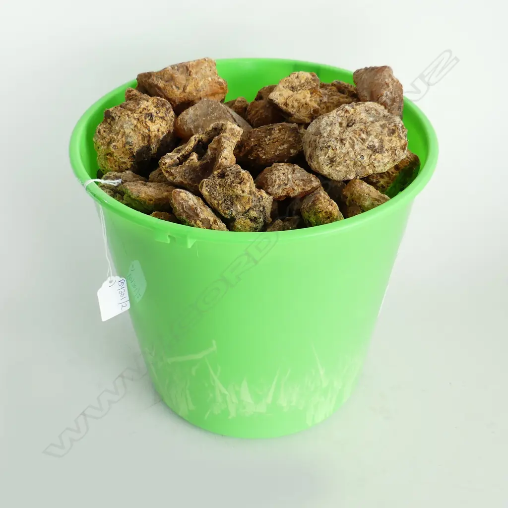 5.25KG BUCKET OF KAURI GUM NUGGETS Image 1++