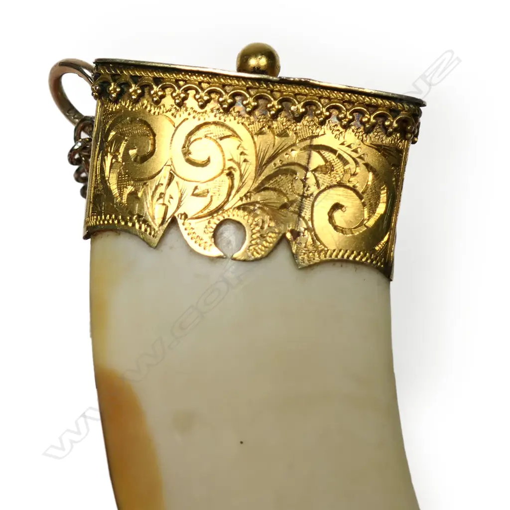 A New Zealand colonial boar's tooth and 9ct gold pendant, Image 1++