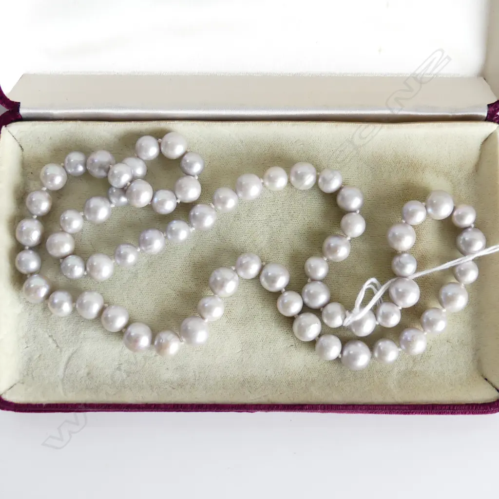 PINK/GREY CULTURED PEARL NECKLACE  Image 1++