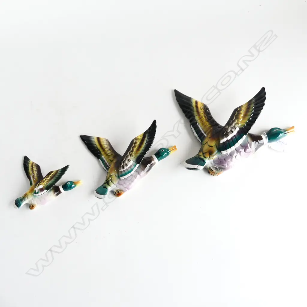 3 WALL DUCKS LARGEST W.235mm Image 1++