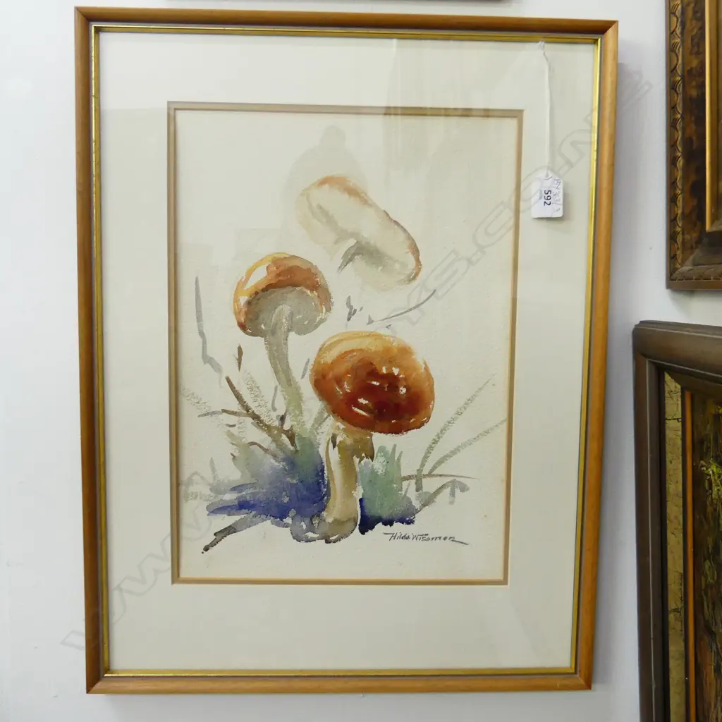 HILDA WISEMAN, MUSHROOMS W/C 375x265mm Image 1++