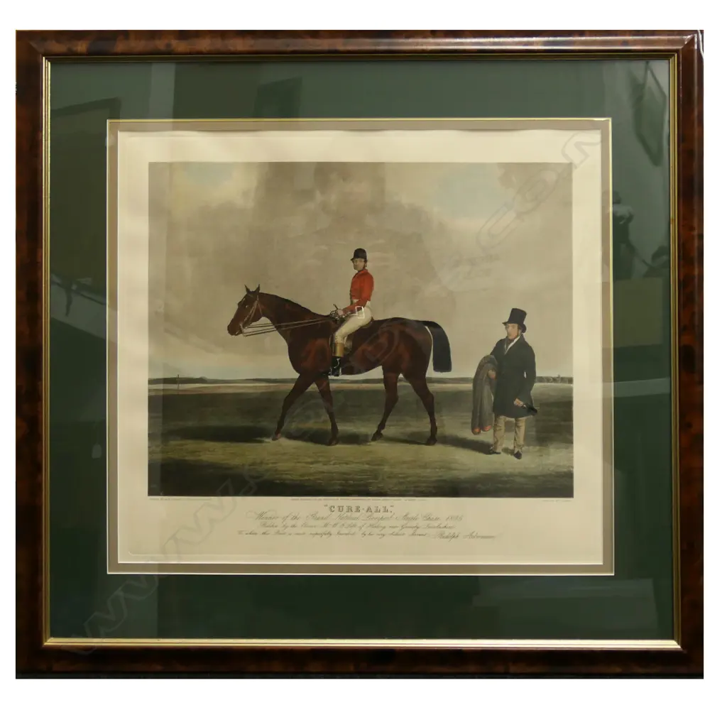 LG RACE HORSE PRINT 'CURE-ALL' AFTER B. HUBBARD 1845 550x600mm  Image 1++