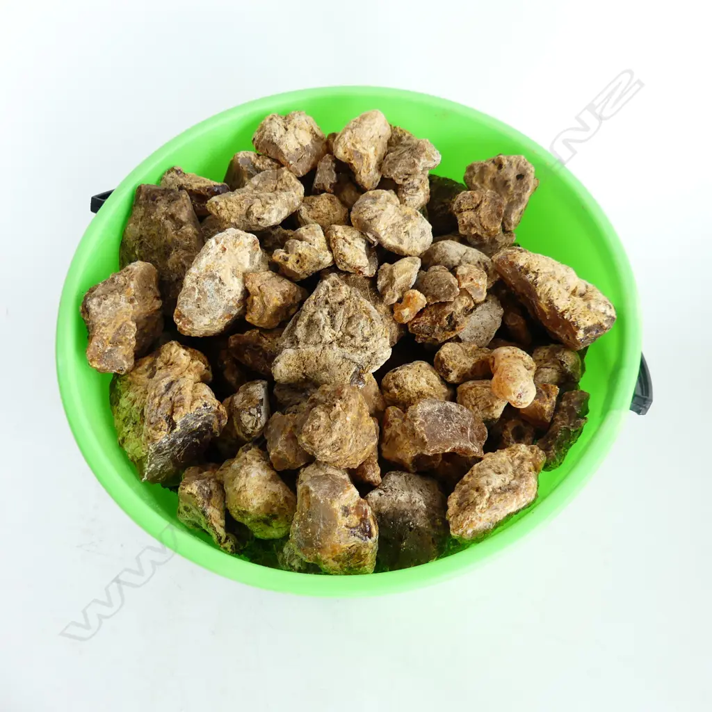 5KG BUCKET OF KAURI GUM NUGGETS Image 1++