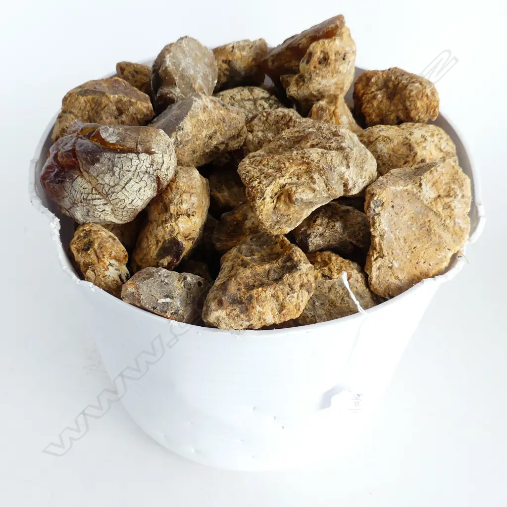 10KG BUCKET OF KAURI GUM NUGGETS Image 1++
