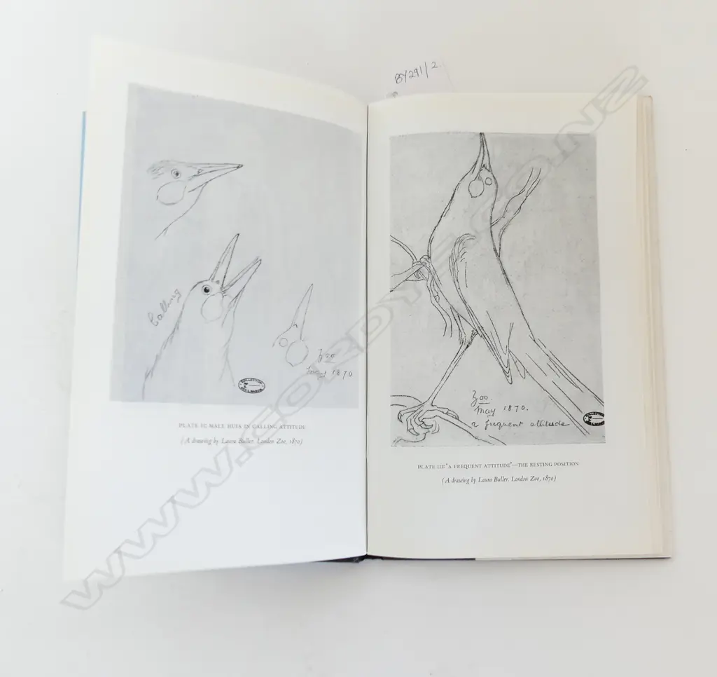 'THE BOOK OF THE HUIA' W. J. PHILLIPPS 1963  Image 1++