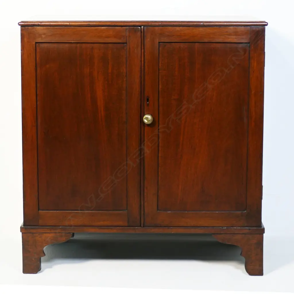 TIDY 19thC MAHOGANY CABINET 850x485x890mm Image 1++