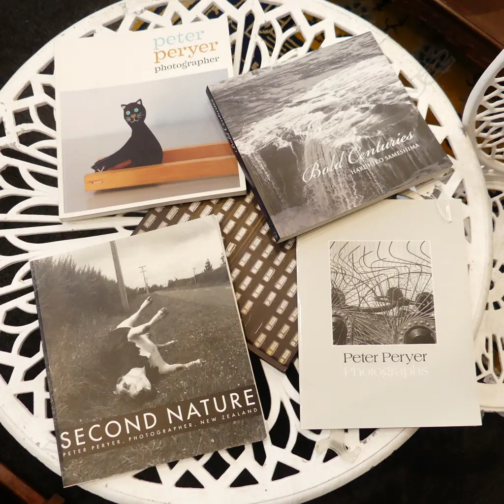 5 PHOTOGRAPHY BOOKS; 3x PETER PERYER, NEIL PARDINGTON & 'BOLD CENTURIES' HARUHIKO SAMESHIMA  Image 1++